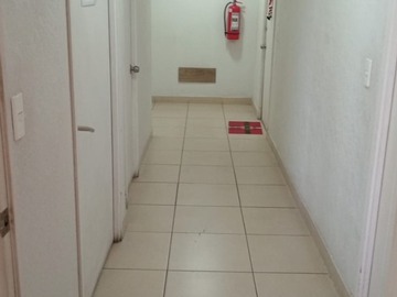 Imagen 11