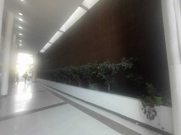 Imagen 9