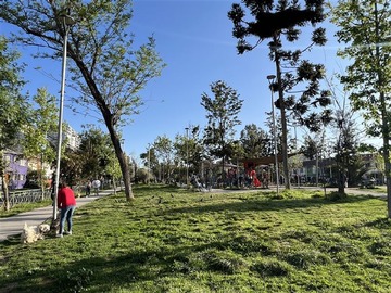 Imagen 19