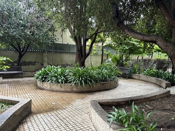 Imagen 24