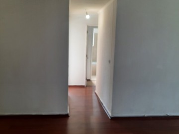 Imagen 11