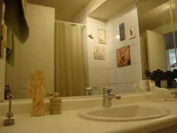 Imagen 5