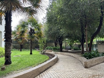 Imagen 23