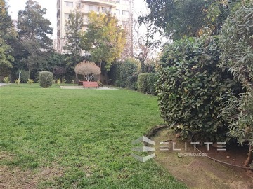 Imagen 25