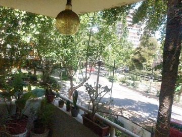 Imagen 11