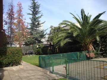 Imagen 19