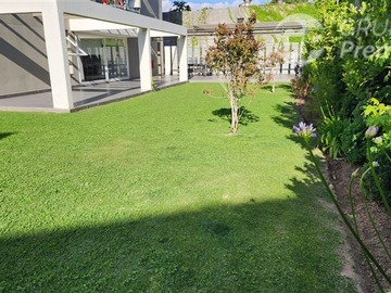 Imagen 12