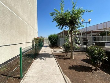 Imagen 15
