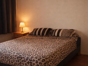 Imagen 5