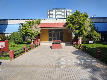 Imagen 20