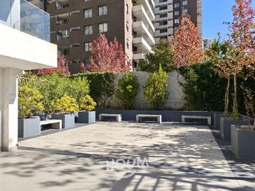 Imagen 19