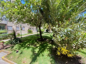 Imagen 21