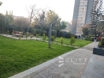 Imagen 26