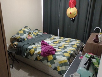 Imagen 5