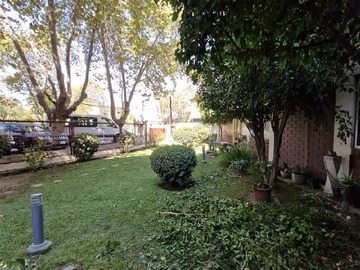 Imagen 23