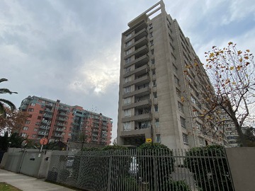 Frontis