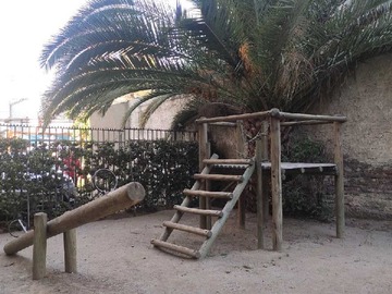 Imagen 20