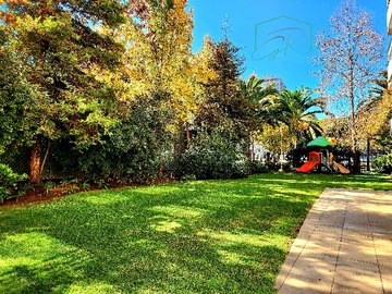Imagen 12