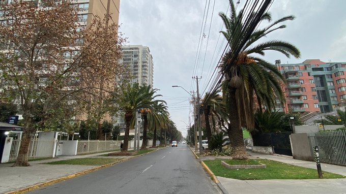 Calle
