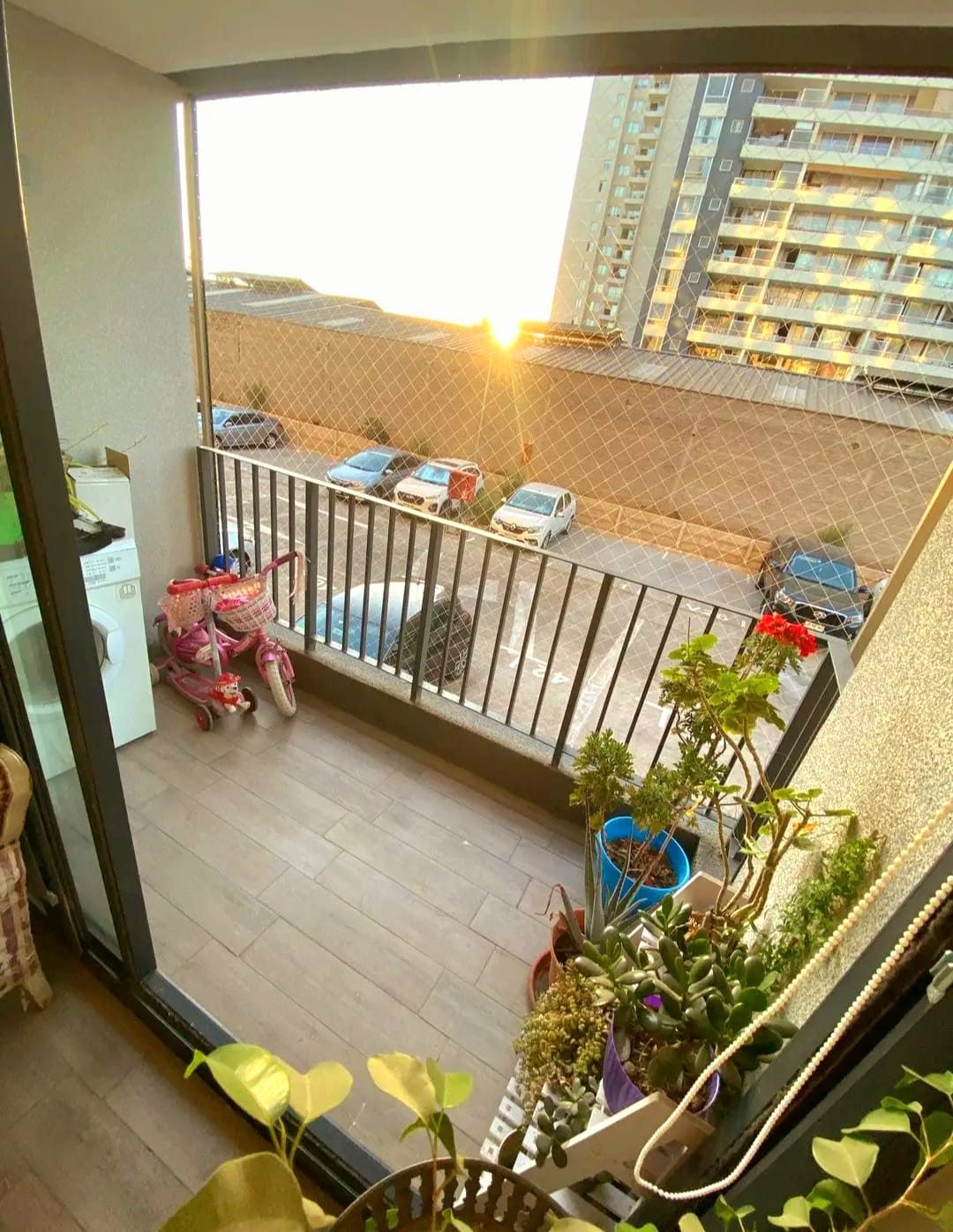 terraza