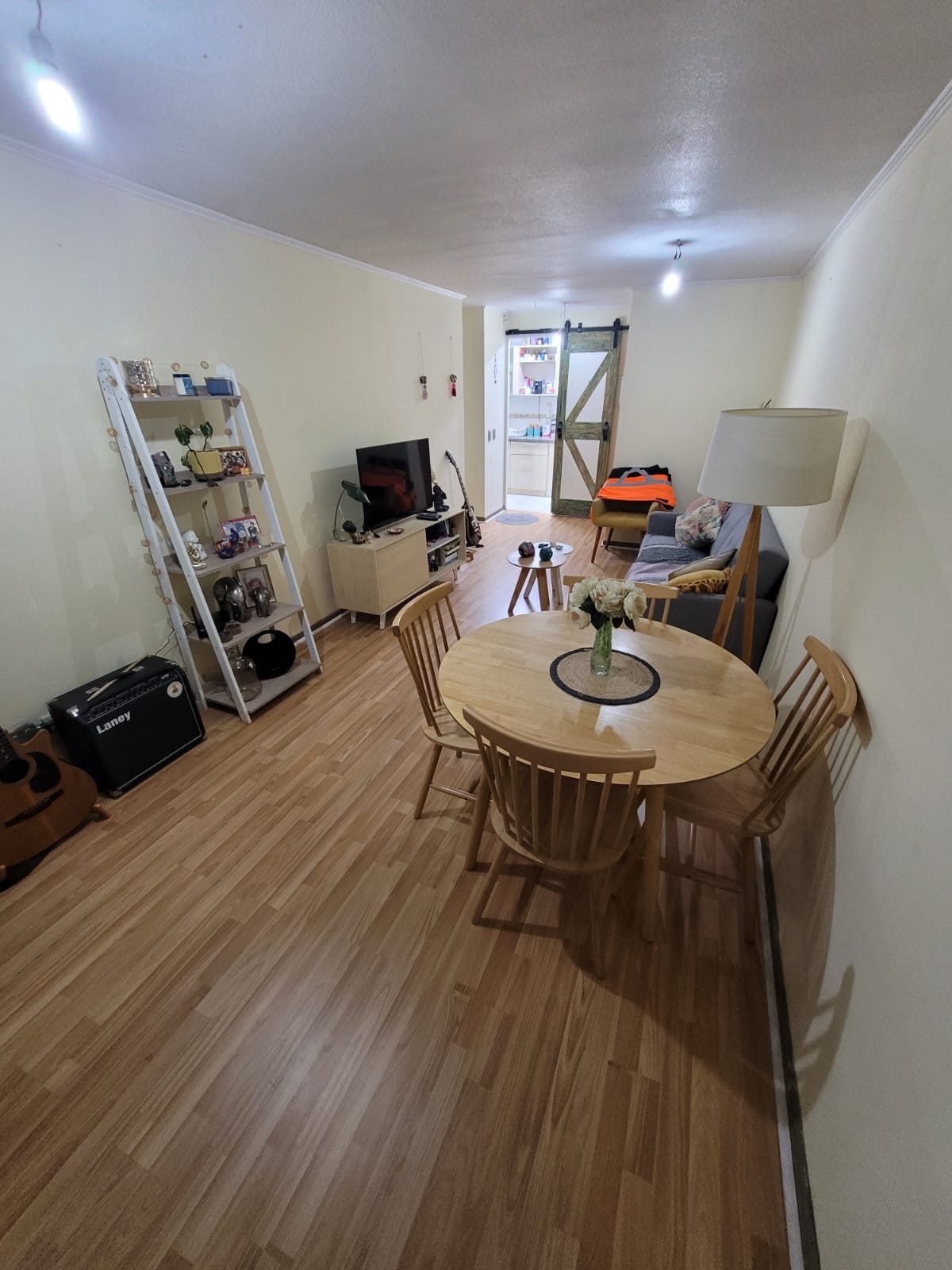 Living-comedor