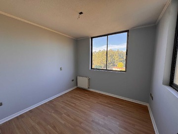 Imagen 11