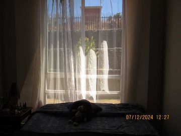 Imagen 5