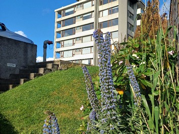 Venta / Departamento / San Pedro de la Paz
