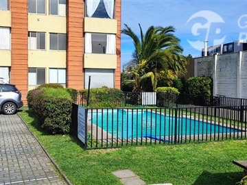 Imagen 6
