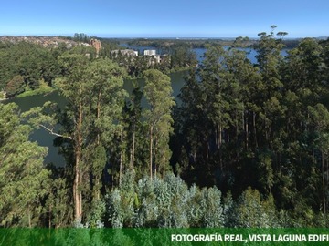Imagen 9