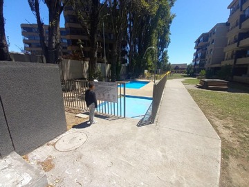Imagen 11