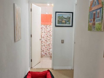Imagen 18