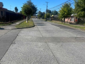 Imagen 20
