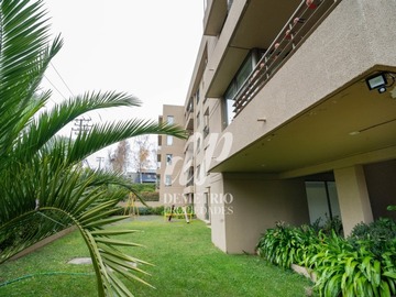 Imagen 12