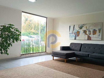 Imagen 10