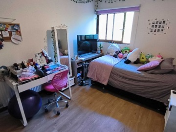 Imagen 13