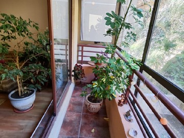 Venta / Departamento / San Pedro de la Paz