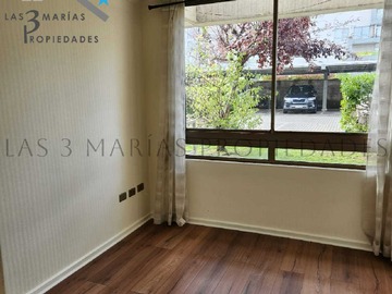 Imagen 11