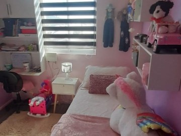 Imagen 11