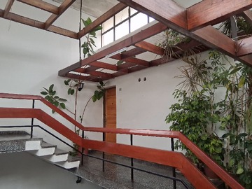 Imagen 5