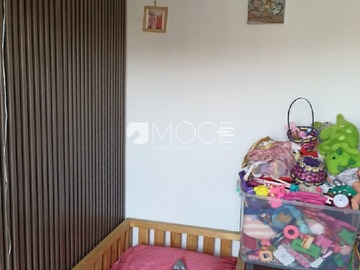 Imagen 8
