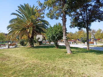 Imagen 11