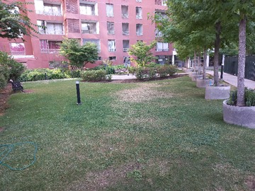 Imagen 21