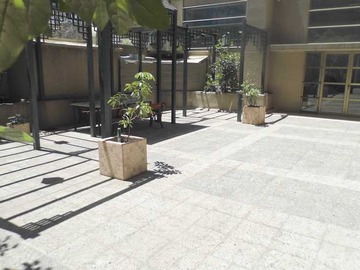 Imagen 8
