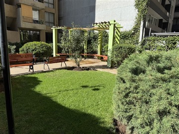 Imagen 8