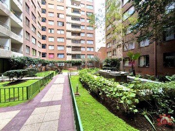 Imagen 14