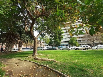 Imagen 24
