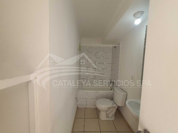 Imagen 22
