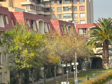 Jardín interior