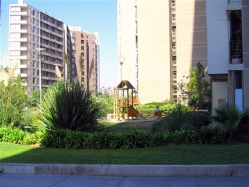 Imagen 20